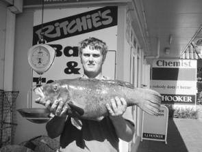 Adam Greenshields prised this hefty 6.5kg blue groper from its rocky lair at Crowdy Head.